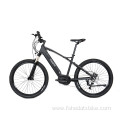 Mountain Electric Bicycle for Your Daily Commute
